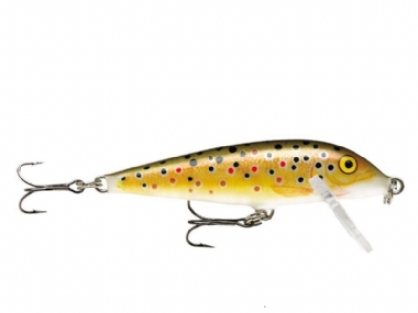 BROWN TROUT