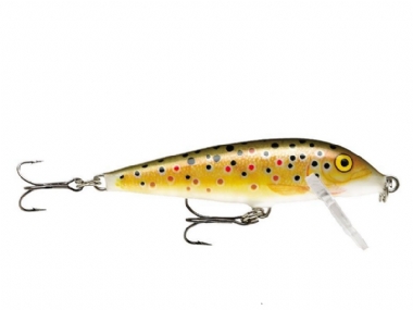 BROWN TROUT