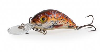 BROWN HOLOGRAPHIC TROUT