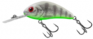 GHOST PERCH