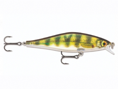 LIVE PERCH