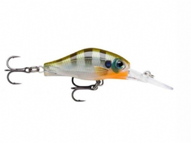 BLUE GILL