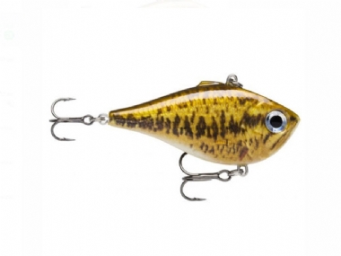 LIVE SMALLMOUTH BASS