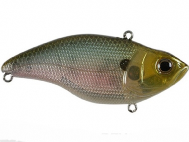 SPOOKY SHAD