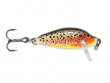 BROWN TROUT