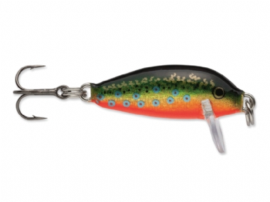 BROOK TROUT
