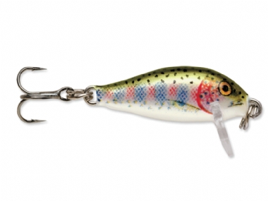 RAINBOW TROUT