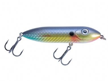 WOUNDED SHAD
