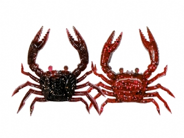 ROCK CRAB