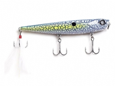 SHATTERED SHAD