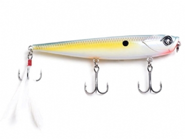 SEXY SHAD