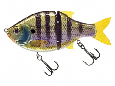 BLUEGILL