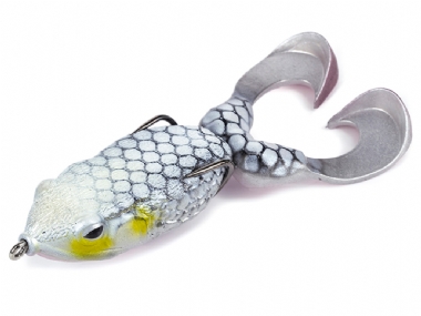 SILVER ALBINO
