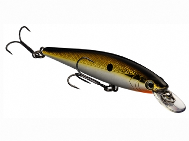SILVER TN SHAD