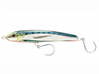 SARDINE
