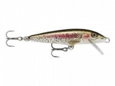 RAINBOW TROUT
