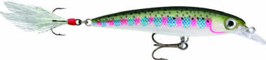 RAINBAW TROUT