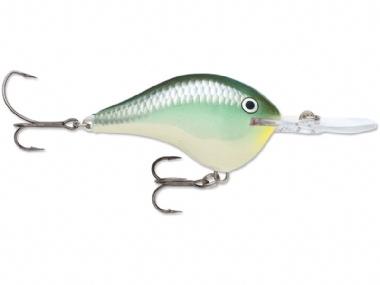 BLUE BACK HERRING
