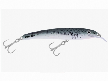 GREAT WHITE (H88)