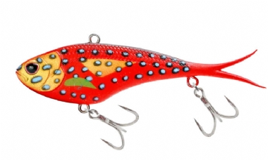 CORAL TROUT