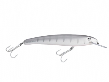 SILVER SHADOW (H91)