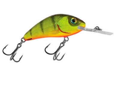HOT PERCH