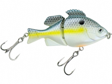 SEXY SHAD