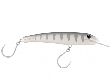 SILVER SHADOW (H91)