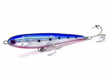 SARDINE RED BELLY
