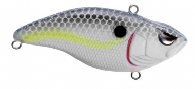 NASTY SHAD