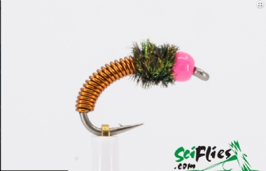 SCIENTIFIC FLIES BRASSIE