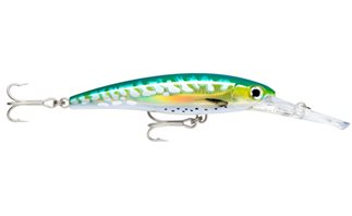 SHARK MACKEREL UV