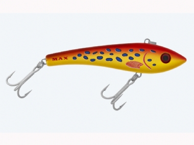 CORAL TROUT