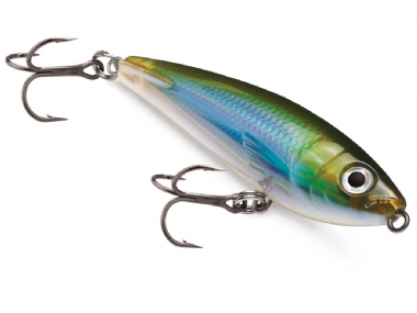 MOSS BLACK SHINER
