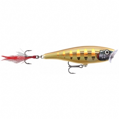 STRIPED GREY SHINER