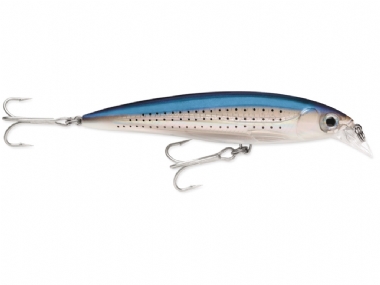 SPOTTED MINNOW