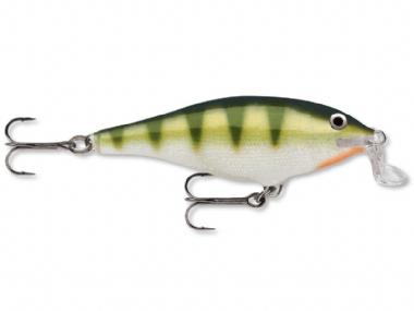 YELLOW PERCH