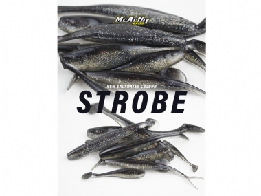 STROBE