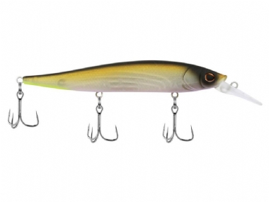 MF TENNESSEE SHAD