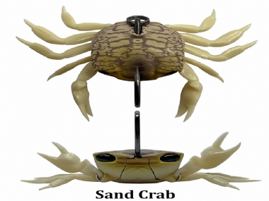 SAND CRAB