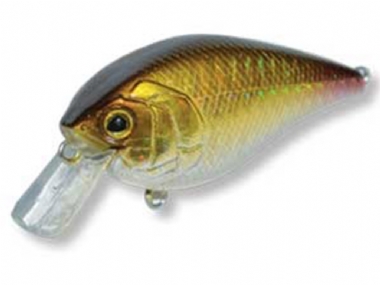 AYU SHAD