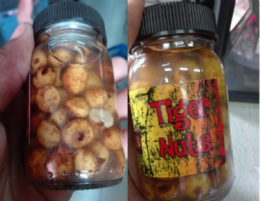 JURASSIC CARP TIGER NUTS