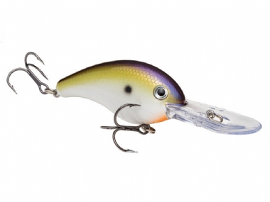TN SHAD 2.0