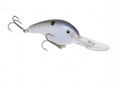 GREEN GIZZARD SHAD