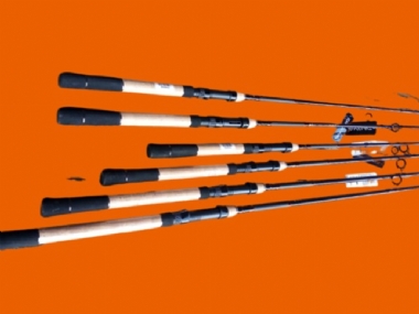 DAIWA MEGAFORCE  (NEW)