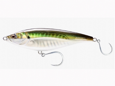 OLIVE BACK SHAD