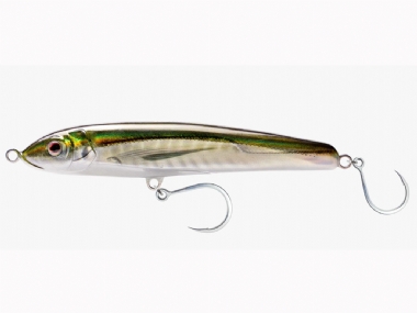 OLIVE BACK SHAD