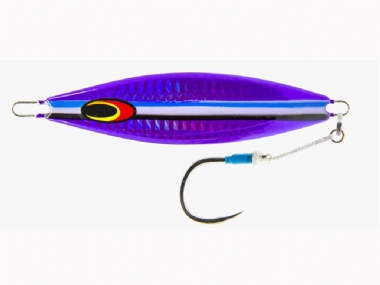 PURPLE FUSILIER