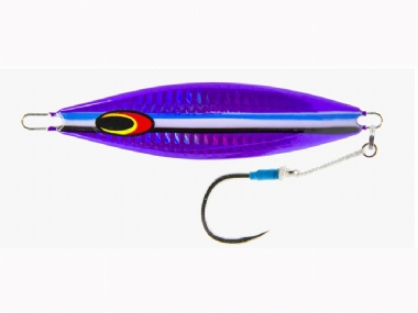 PURPLE FUSILIER