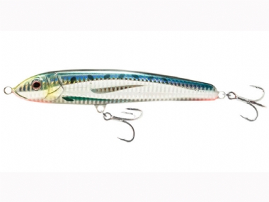 SARDINE